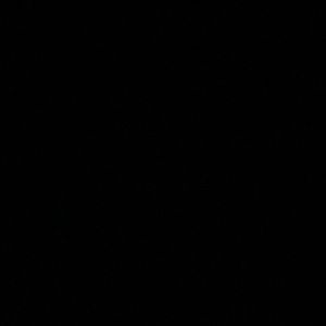 Meet your Posher, Denisha